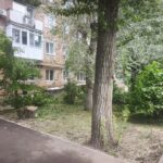УК "Левобережье" провела покос травы