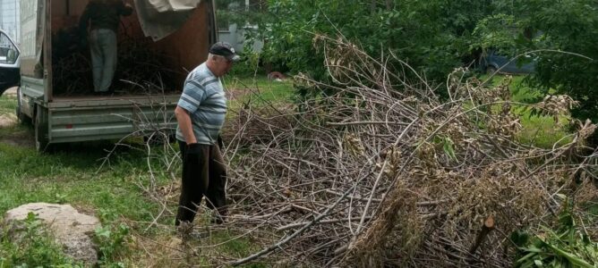 Вывоз порубочных остатков